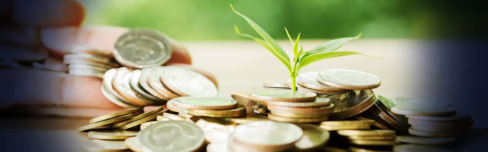 Mano apilando monedas junto a una planta verde que crece entre ellas sobre una superficie de madera.